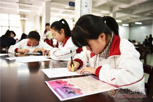 筆墨傳承，青春飛揚(yáng)——2016彭城書法大賽海選第三站走進(jìn)徐州高級(jí)中學(xué)